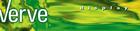 Verve Displays